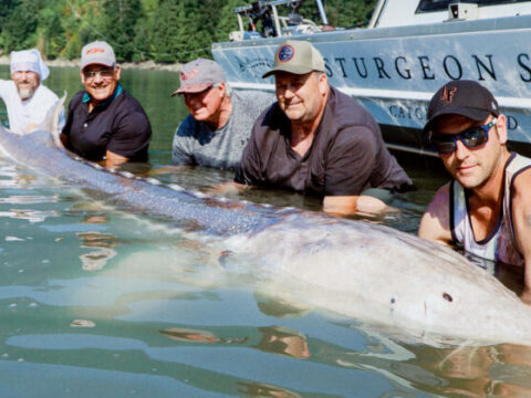 Monster Sturgeon