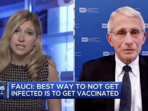 CNBC anchor to Fauci