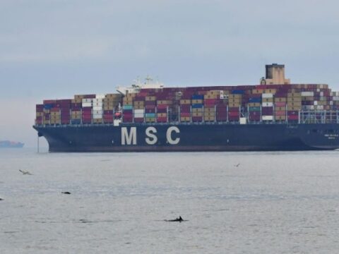 MSC Cargo Ship Oil