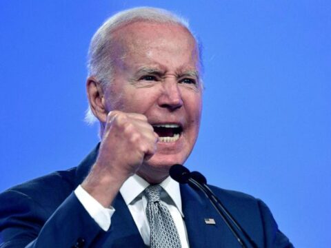 Democrats Joe Biden personal behavior Trump agenda