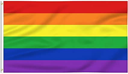 Gay lesbian bisexual LGBTQ+ Pride flag