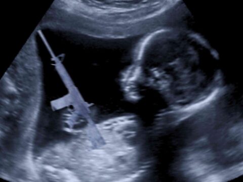 Texas legislature abortion legal AR-15 to defend