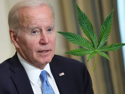 Biden's marijuana