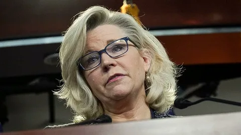 Liz Cheney Tweets Petty ‘Mean Girls’ Response To Kari Lake Defeat