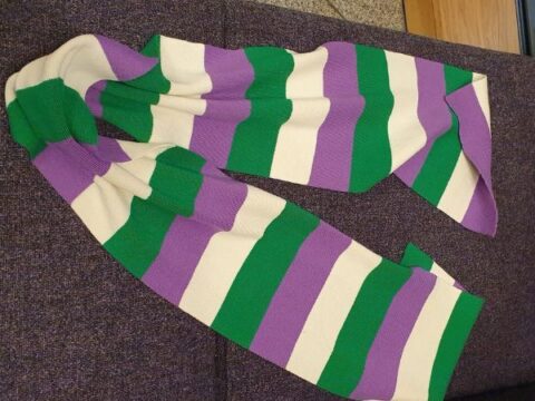 Women wearing suffragette colors made to remove the clothing or leave Scottish Parliament